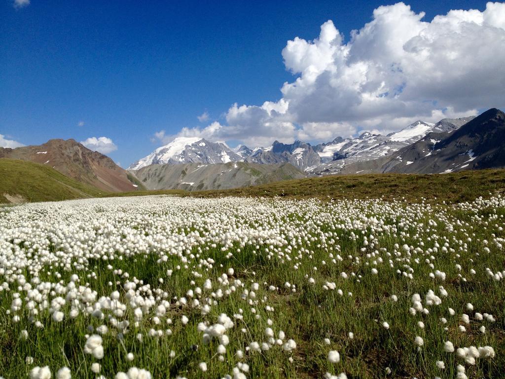 Albergo Quarto Pirovano Passo dello Stelvio Esterno foto